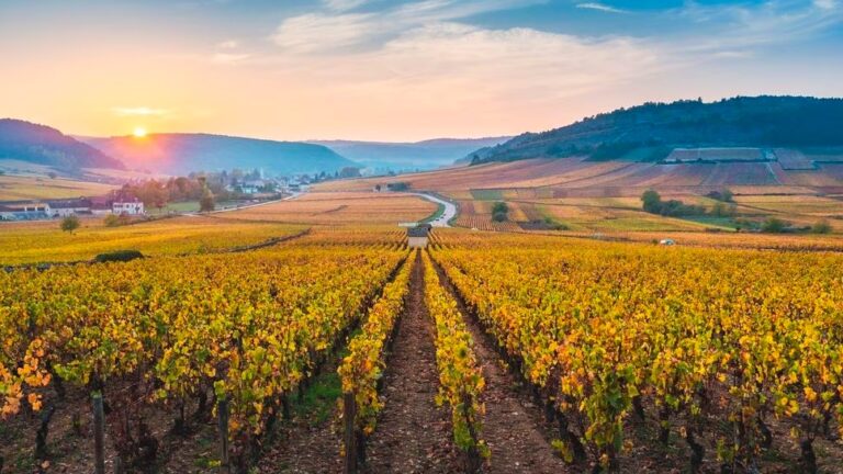 region-bourgogne-franche-comte